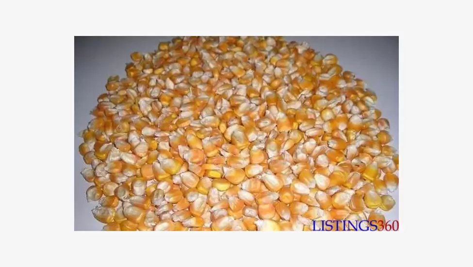 145,000 MK White and yellow maize - dedza